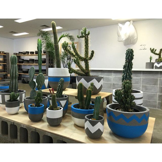 Small planter pots