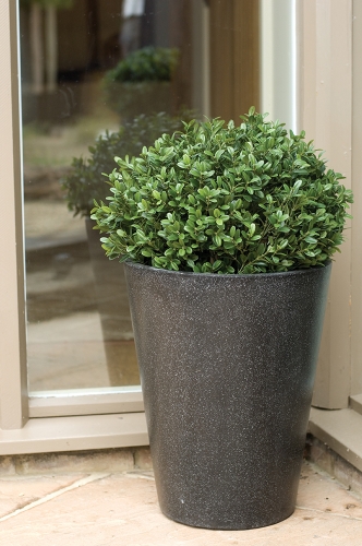 planters for entrence