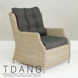 Driago Wicker Sofa 1 Seat (Code 2001)