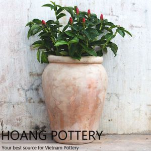 Belly Terracotta Pots (HPTC129)