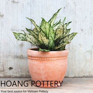 Round Pattern Red Terracotta Pots (HPTC046)