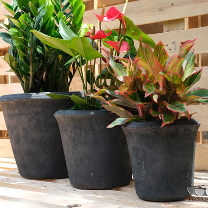 Black ceramic bonsai pot