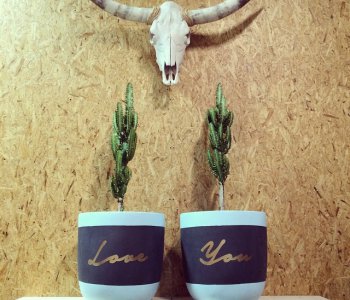 How to use light concrete planters in decor.