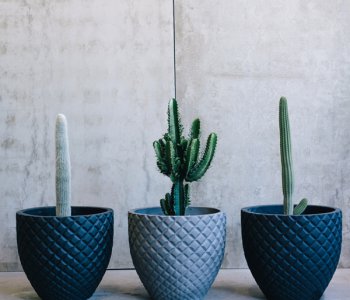 What is lightweight concrete planter and rustic pot