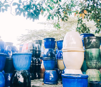 Pots & containers suggestions