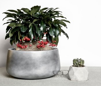 Cement pots are having a moment in interior and exterior design.